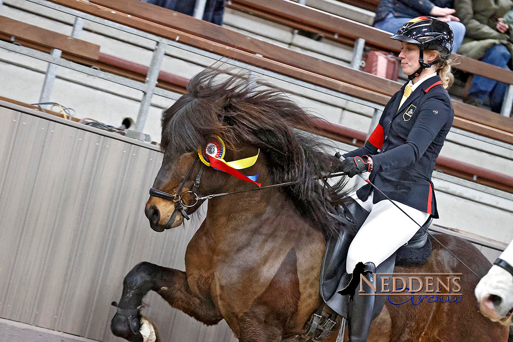 Fünfgang-Freuden: Elli & Óskasteinn, Domi & Myrkvi