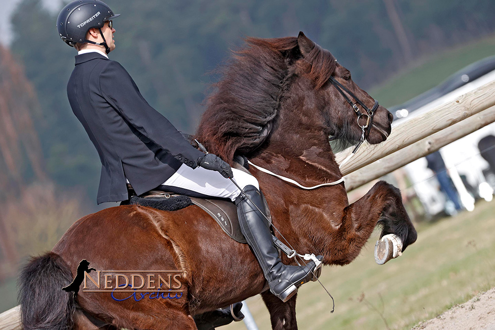 Stars und Newcomer überzeugen am Kronshof