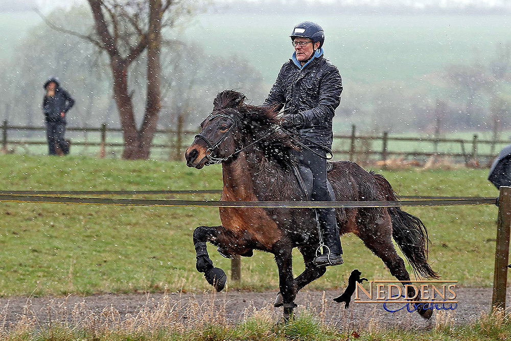 Starke PP1-Premiere für Beggi und Fjalladís