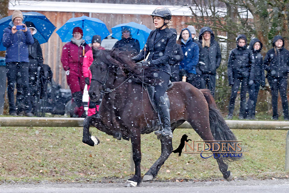 Vicky und Elli obenauf in Ellenbacher T1 und T2