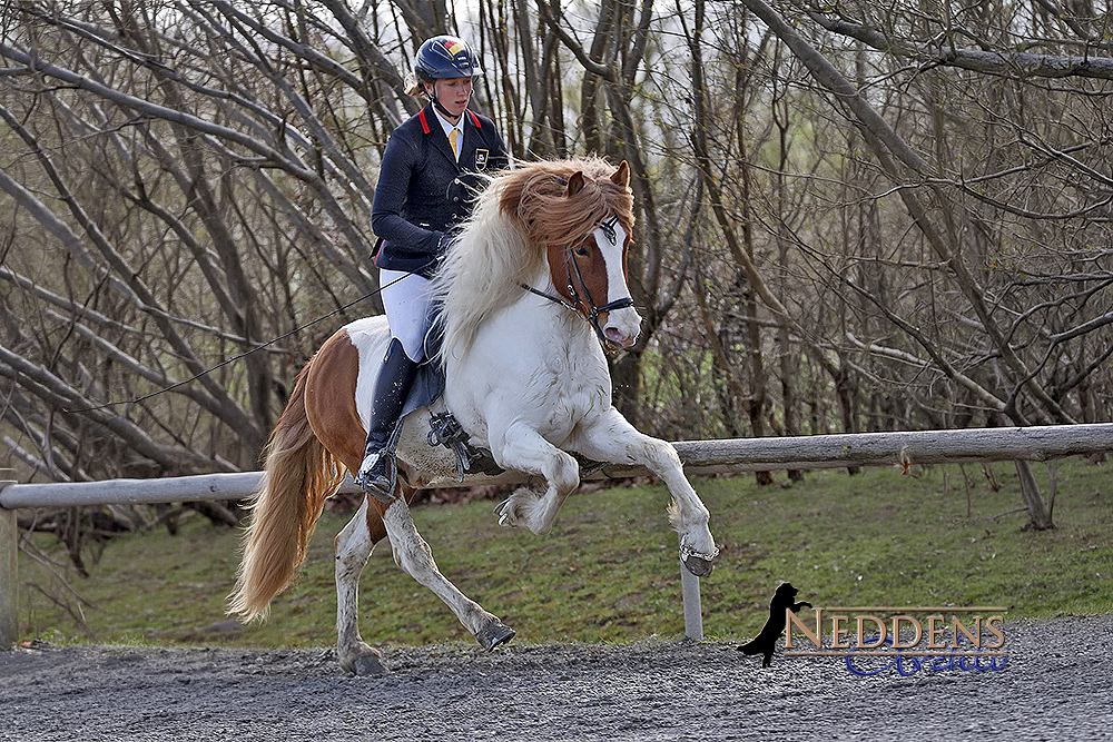 Frühlings-Festspiele auf Ellenbach: Video FR/SA/SO