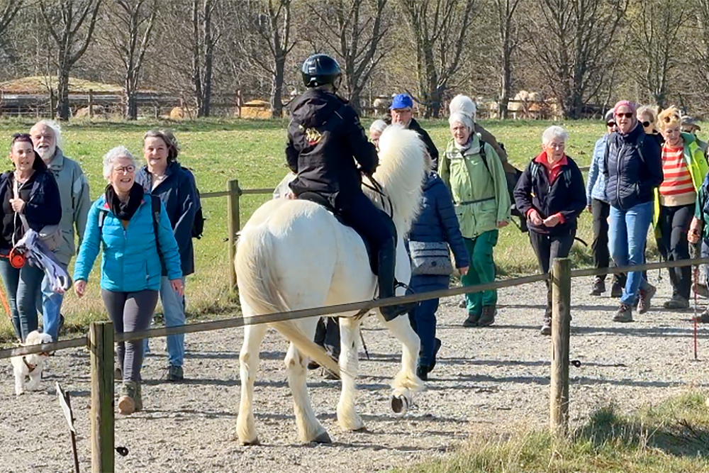 IPZV-Kader zum Anfassen: Training an 3 Locations