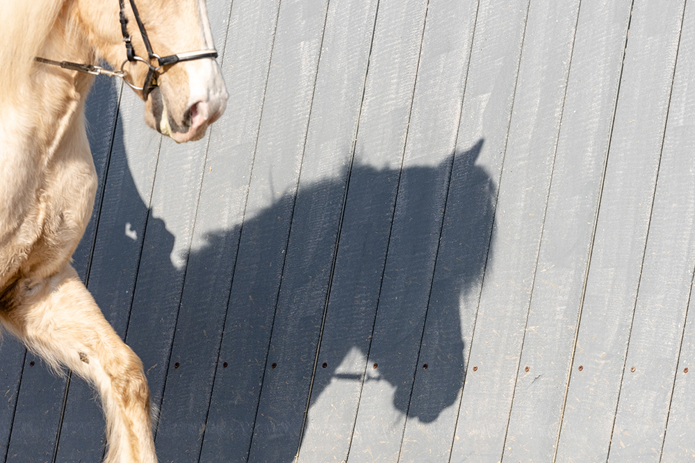 Wochenende voller Action voraus: Daumen gedrückt