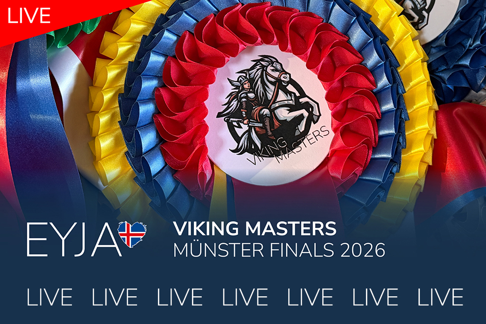 Los geht’s: Vikings-Finaltag in Münster / Video FR