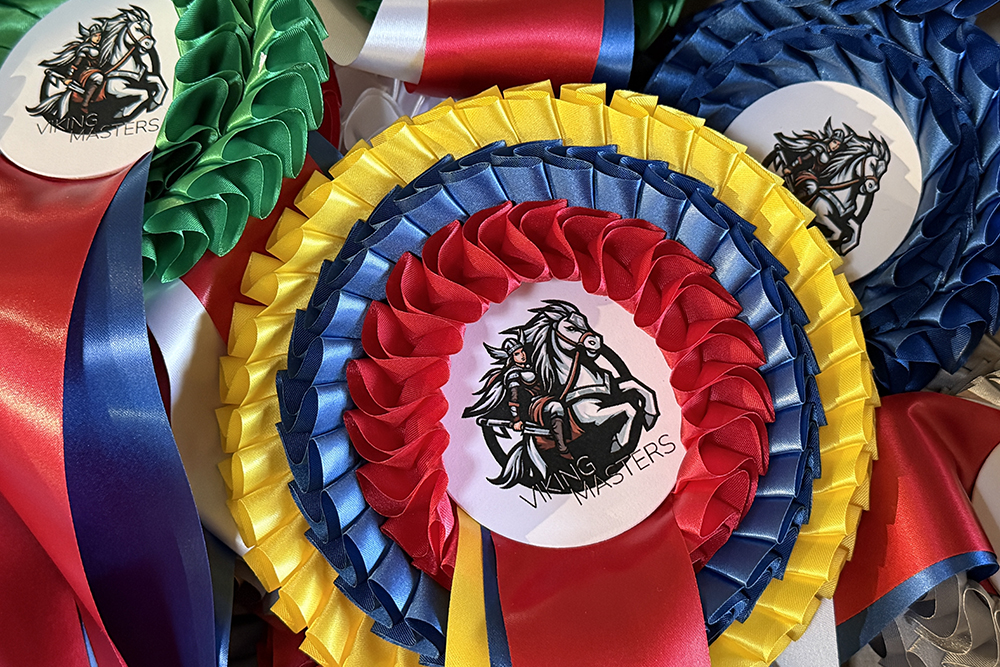 Starke Starter: Finale der Viking Masters am 14.3.