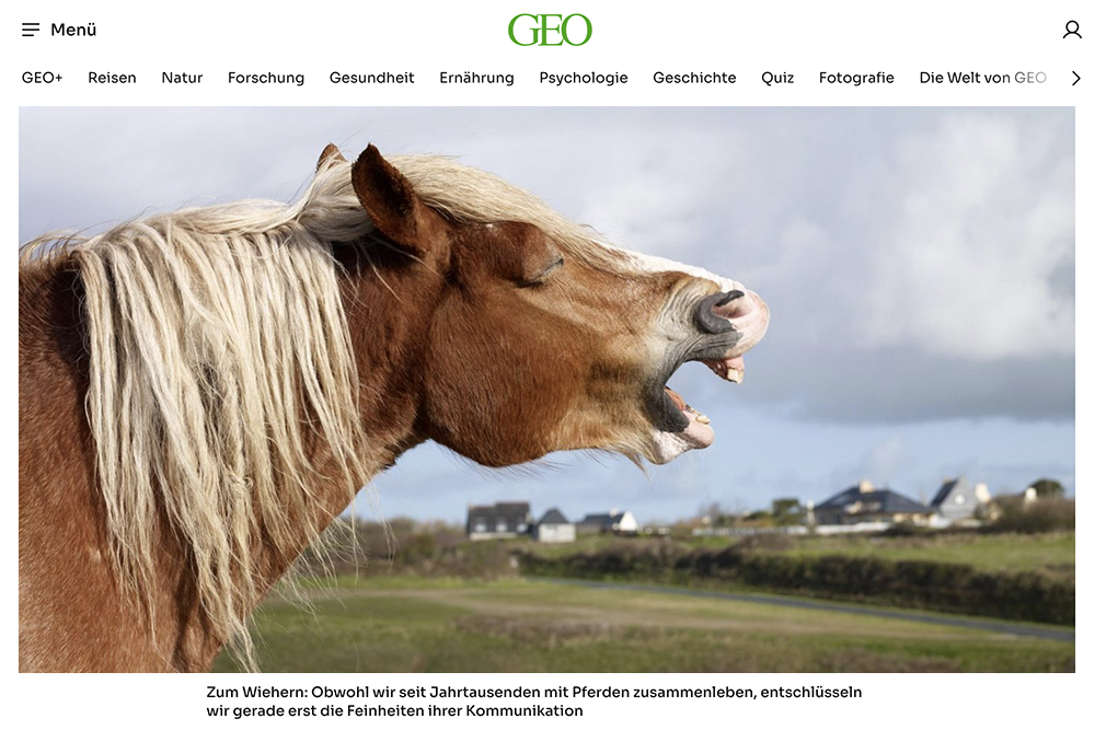 Spannende Studie: Pferde wiehern ‘mehrstimmig’