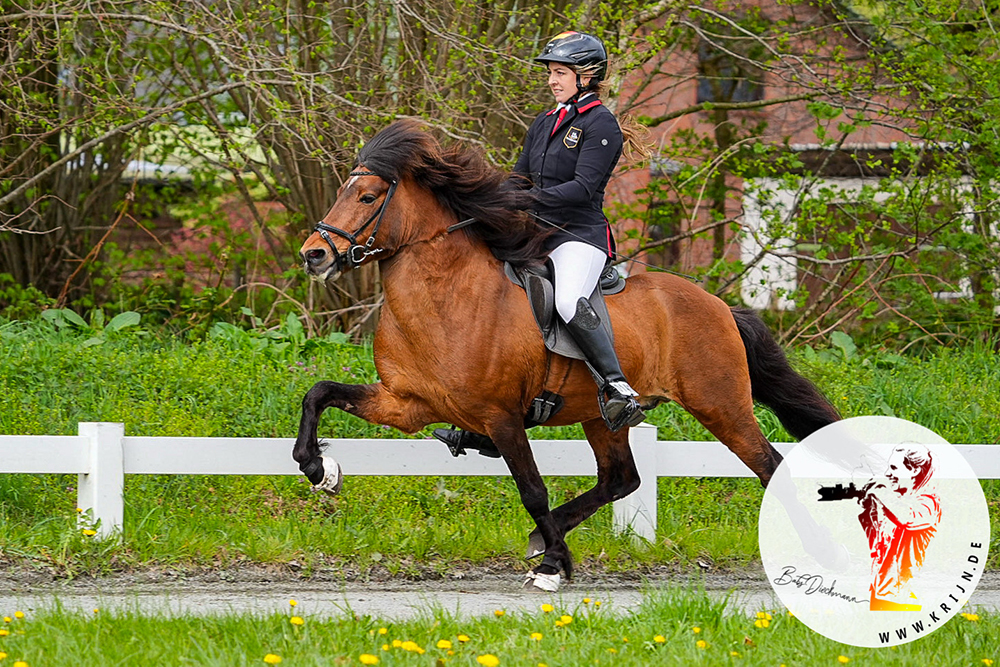 Lena, Daniel, Ómar, Tony, Pia vorn auf Heesberg