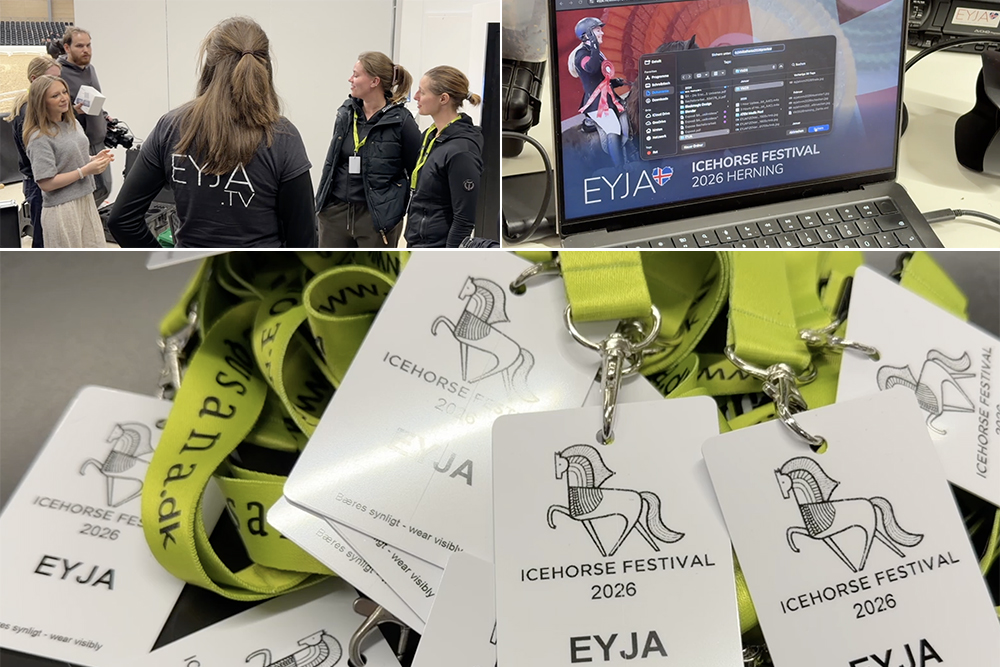 Herning ready: Icehorse Festival startet DO um 8