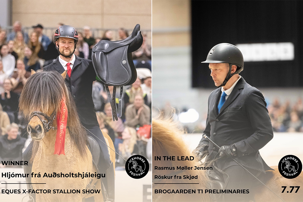 T1-Führung für Rasmus, Hljómur Publikumsliebling