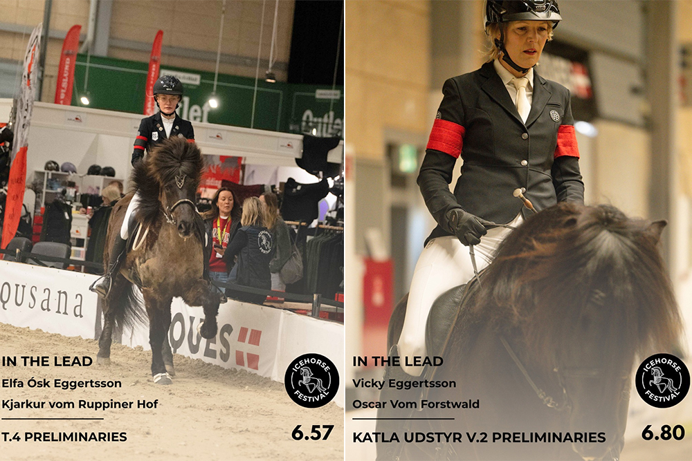 Mutter & Tochter Spitze: Vicky & Elfa toppen T4/V2