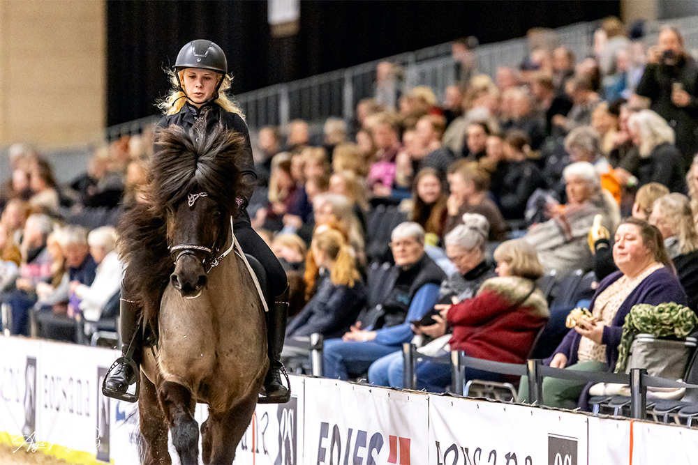 Icehorse: Highlights von Tag 1 inkl. T2/F1-Spitzen