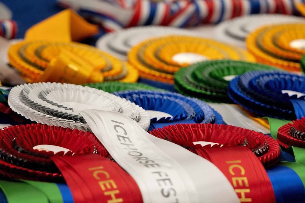 Icehorse-Gold für Rasmus, Tekla, Vicky und Anne