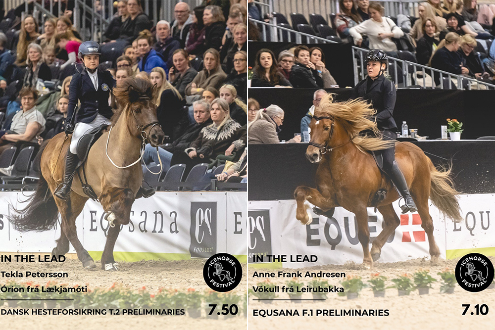 Herning: Pole Positions in T2 & F1 für Tekla & Anne