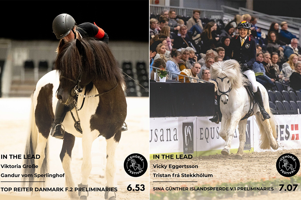 Vicky, Toya und Jón führen in V1/F2/T3 von Herning