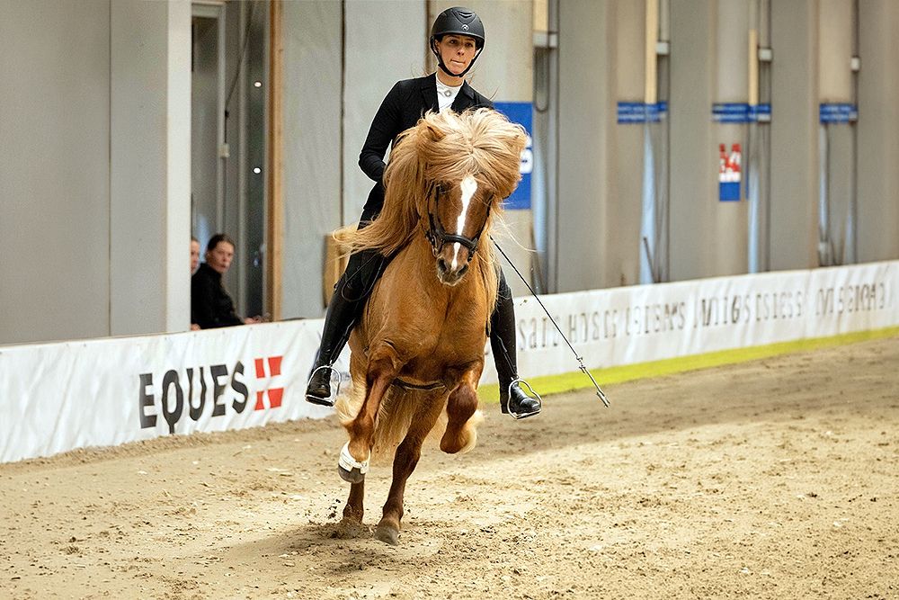 Icehorse: Video-Highlights von Turniertag 2 in DK