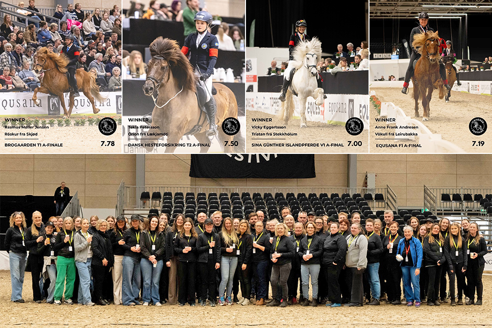 Icehorse: Video-Highlights vom Finaltag in Herning