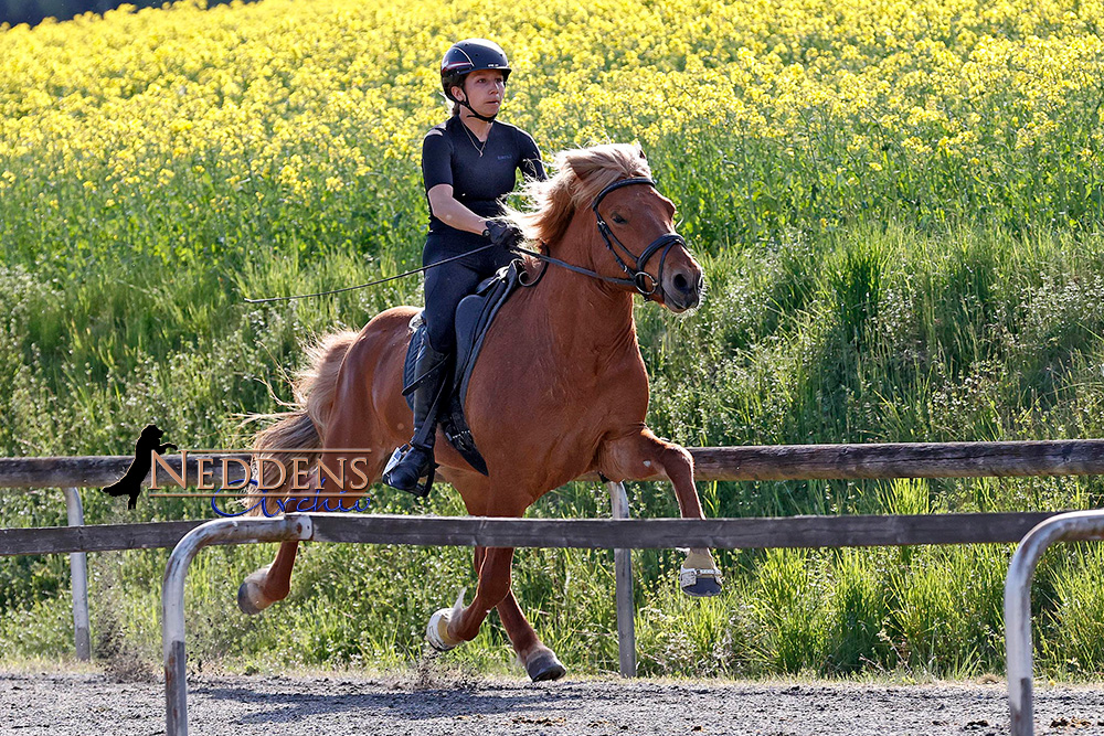 Wurzer Video-Highlights von Samstag & Sonntag