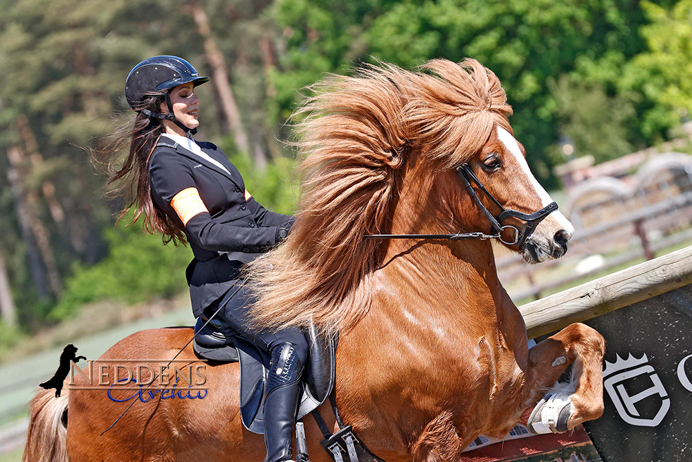 Anna-Lisa, Stefan, Gloria, Lina gewinnen K’hof-T1/T2