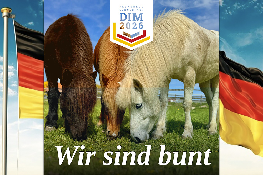 DIM-Song feiert Premiere, live auf Falkenegg am 2.7.
