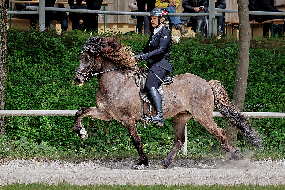 Gerrit-Double, Sophia-Gold in Straßwalchen