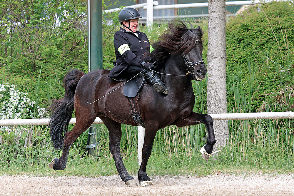 Chapeau, Lisa / Video aus Straßwalchen vom FR
