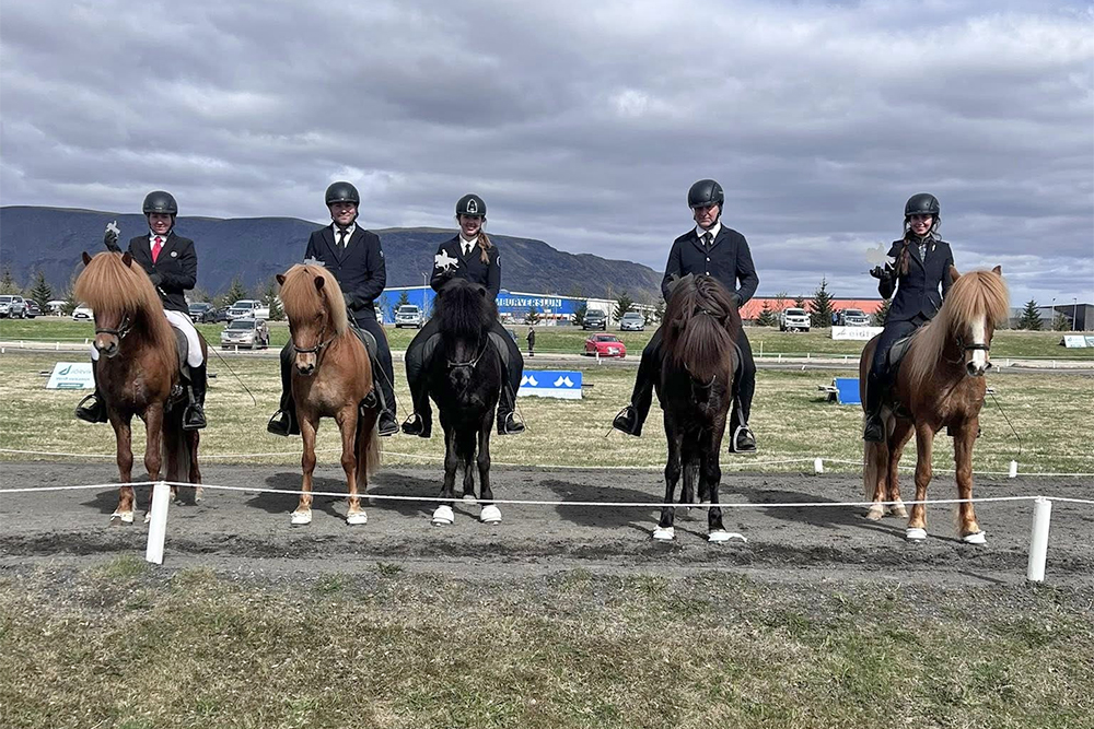 Warm-up zum Landsmót bei Sleipnir in Selfoss