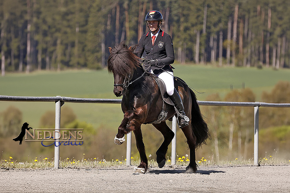 Elli, Nathalie, Johanna rocken Wurzer Futurity/P2