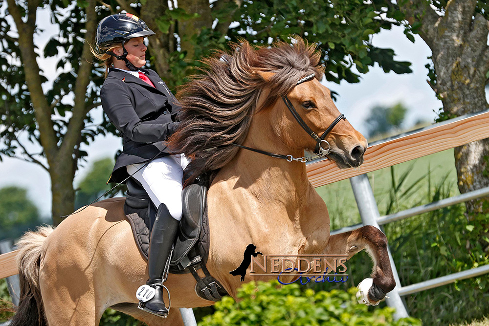 Lydia und Jule regieren T1 und F1 am Eichenhof
