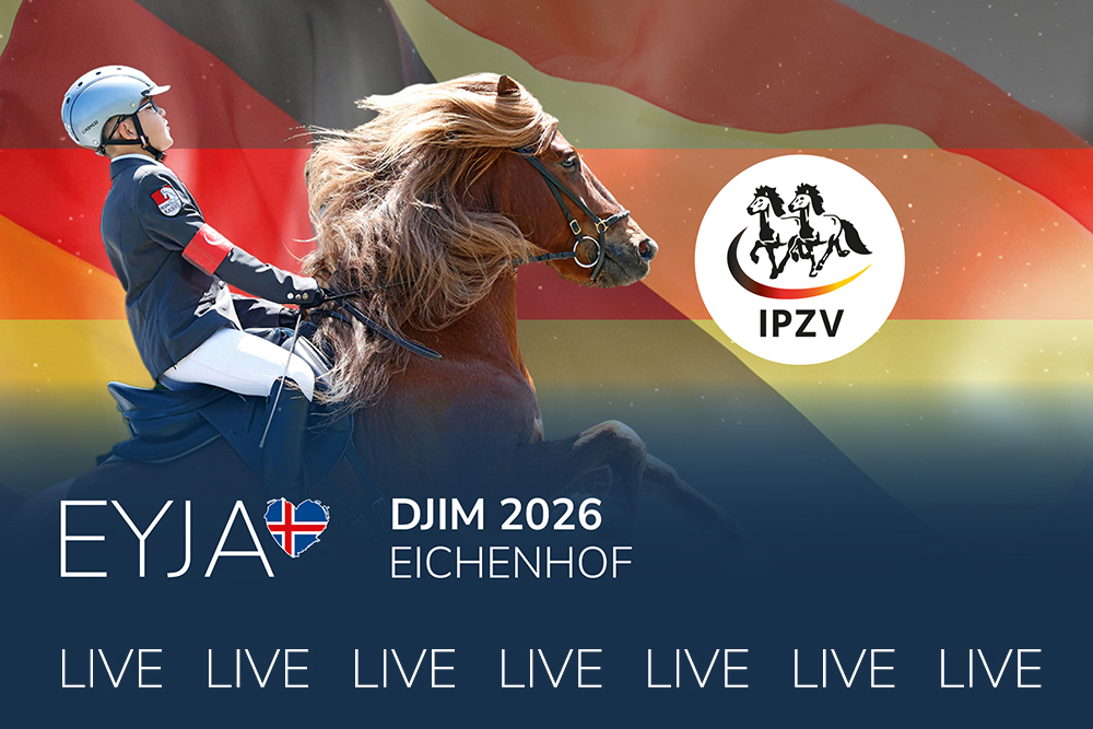 DJIM 2026 live: 5 Tage Action mit Nordsee-Brise