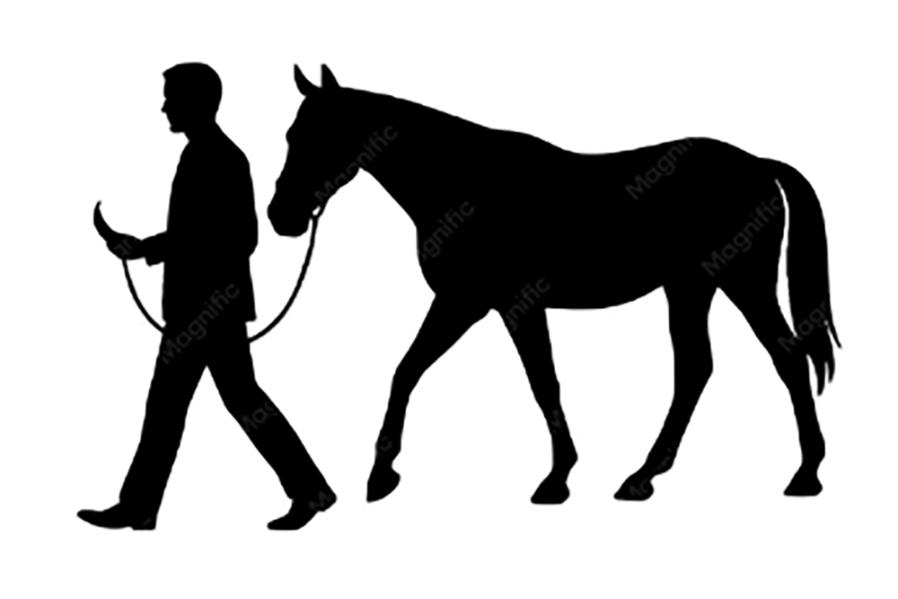 Spazieren mit dem Pferd: Kann man so oder so …