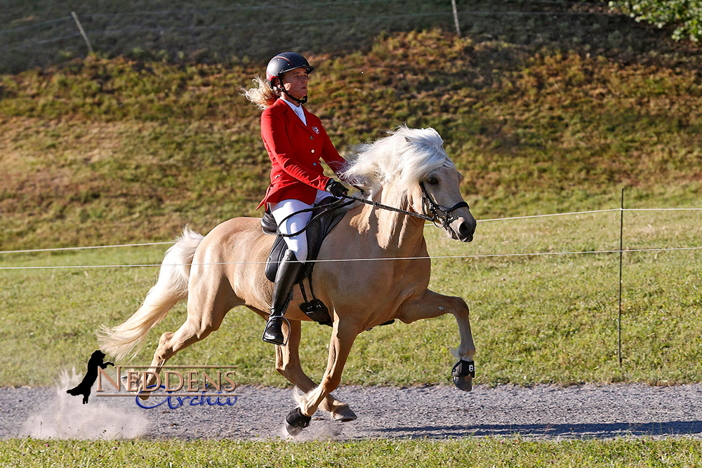 Ladina CH-Meisterin der PP1, Oliver toppt T1