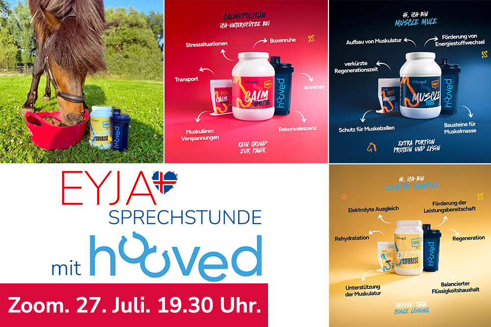 Mitmachen, sparen und gewinnen im hooved-Talk