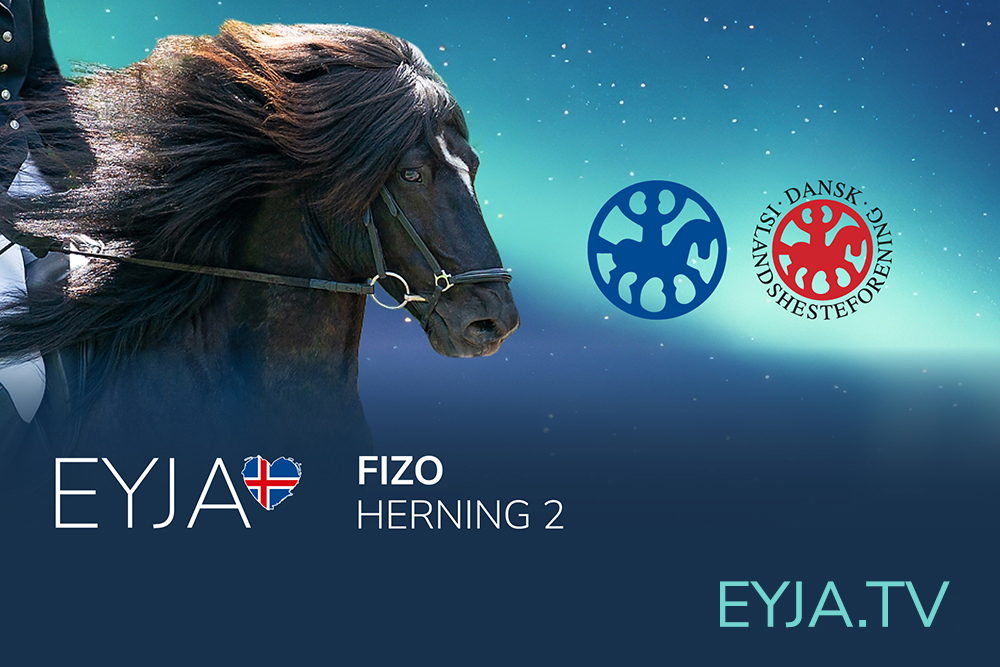 52 Pferde auf der FIZO Herning, EYJA TV ab Freitag