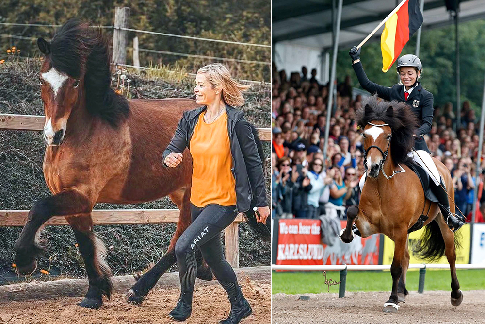 Old Heroes: Weltmeister Fönix frá Syðra-Holti