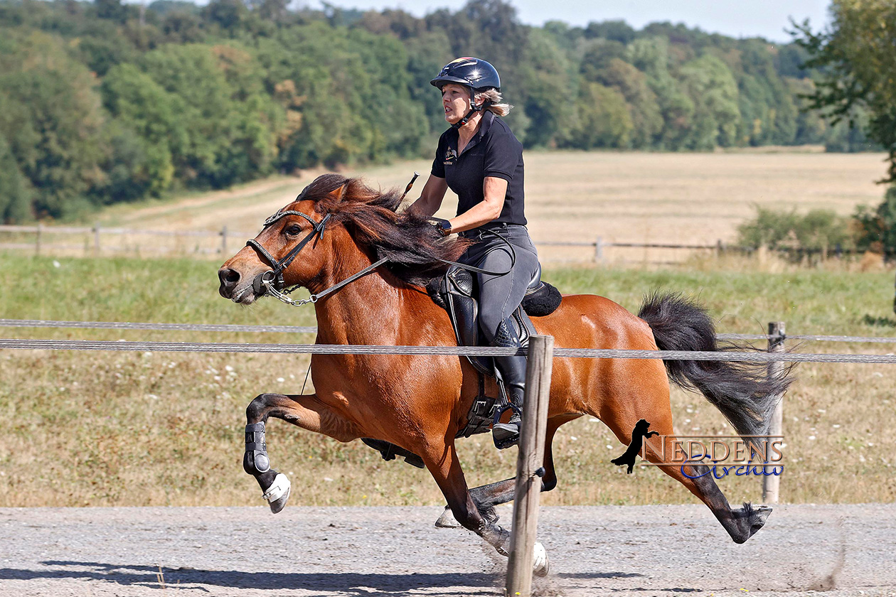 Vicky packt MEM-P2, Schweiz erneut Top-Team