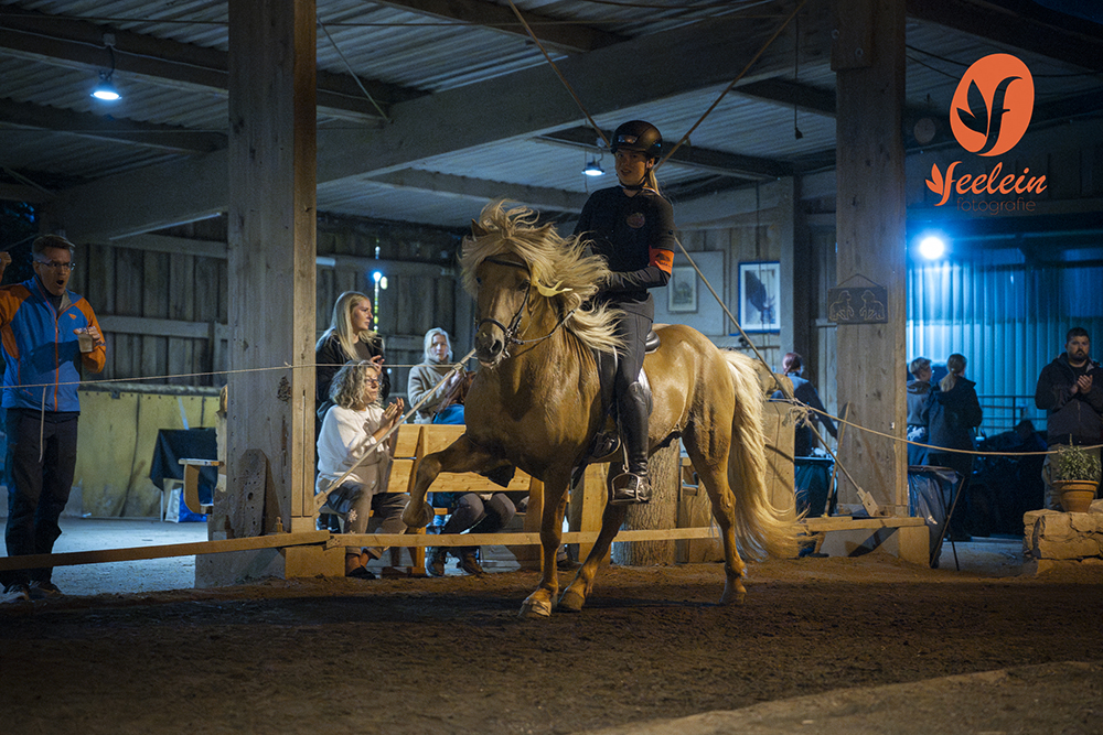 Lilly, Kai und Beci in Top-Form am Grenzlandhof