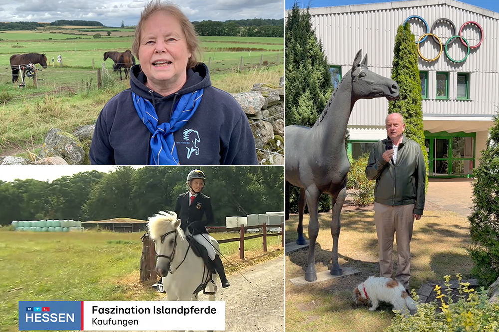 MEM-Videogrüße von FEIF & FN / Toller RTL-Beitrag