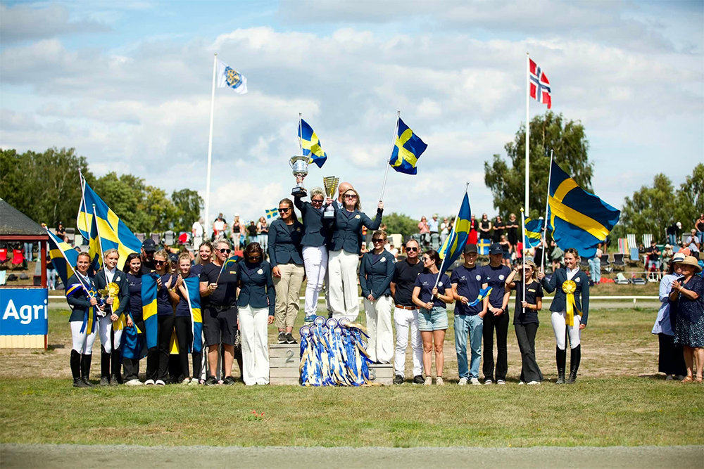 Dänen und Schweden feiern starke Nordische