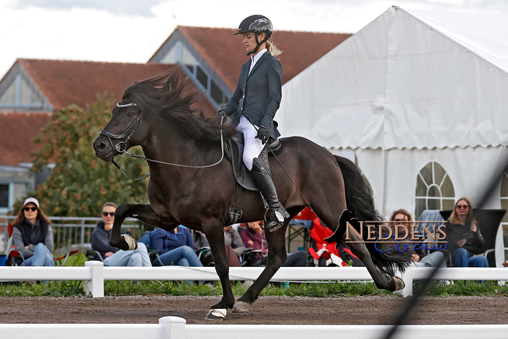 BIM live: Spitzen in T1 & T2 an Freija & Marleen