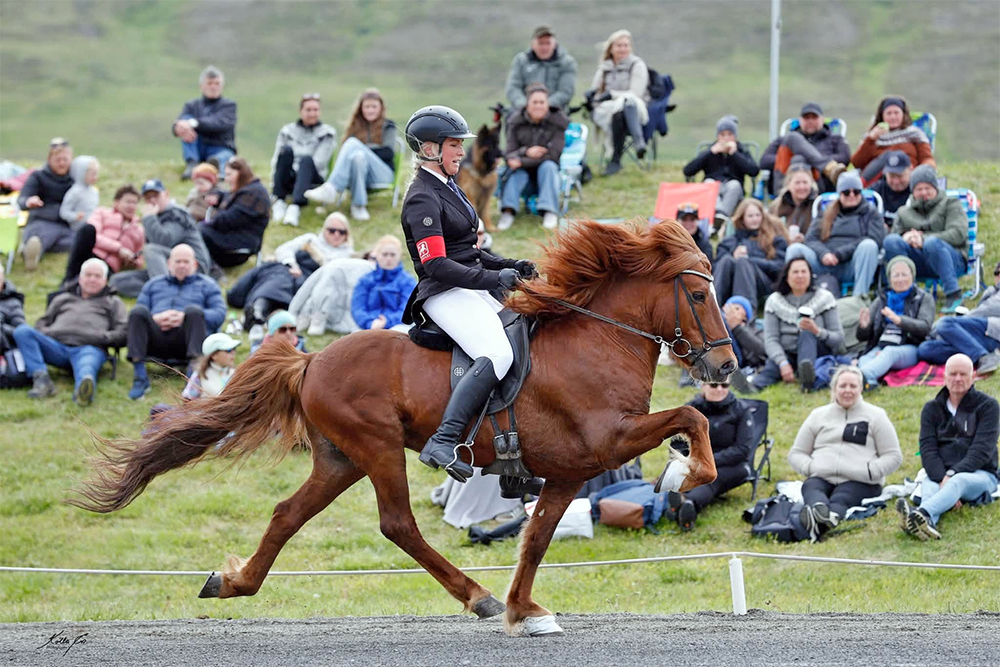 Top-Vererber: Útherji am Grenzlandhof zu Hause
