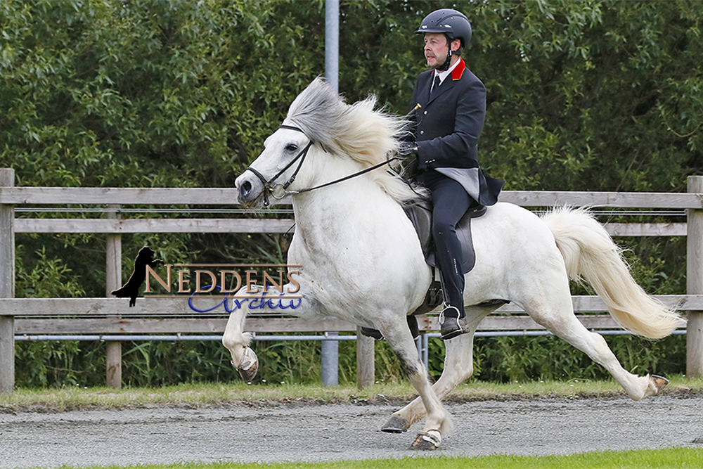 NO: Agnar Snorri & Martin (U21) neue Nationaltrainer